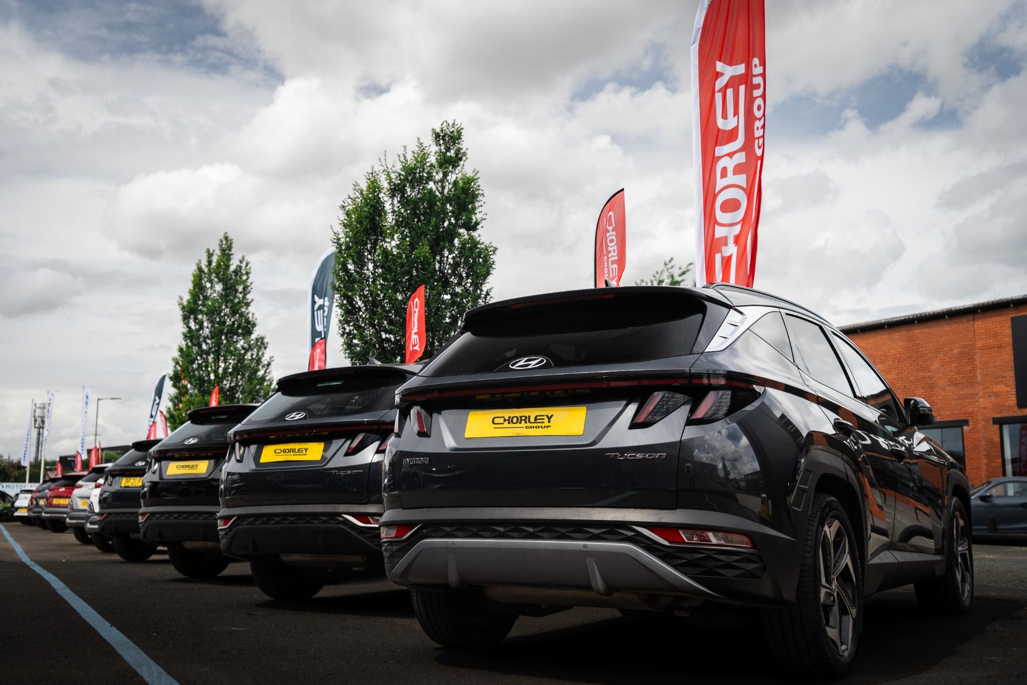 Image representing the content